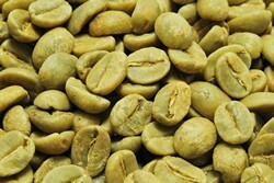 [30㎏] Кофейные зерна Эквадор Андс Маунтин Бесплатная доставка
