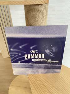 Common - Reminding Me (Of Sef) (12, Single) Original Promo