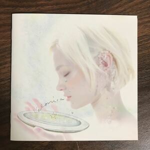 (393)帯付 中古CD150円 アクアタイムズ Velonica