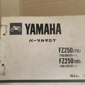 ヤマハ パーツカタログ YAMAHA パーツリスト FZ250