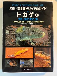 トカゲ② ヤモリ上科&スキンク上科　爬虫両生類ビジュアルガイド 海老沼剛著　川添宣広写真