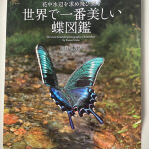 世界で1番美しい蝶の図鑑: 花や水辺を求め飛び回る (ネイチャー・ミュージアム)