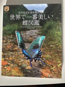 世界で1番美しい蝶の図鑑: 花や水辺を求め飛び回る (ネイチャー・ミュージアム)