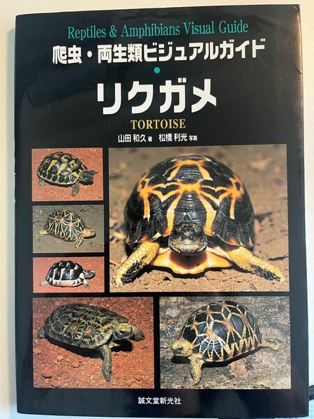 リクガメ　爬虫両生類ビジュアルガイド 山田和久著　松橋利光写真