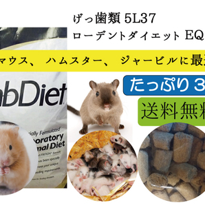 【大特価値下げセール中】3ｋｇ【ハムスター、マウス用 エサ】ローデントダイエット ＥＱ　 5L37 Lab Diet　