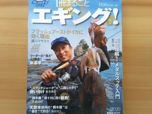 即決 1冊まるごとエギング! Vol.2 保存版 湯川マサタカ/山田ヒロヒト/重見典宏/ ヒロセマン広瀬達樹/米田浩久 ルアーマガジンソルト増刊