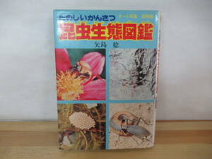 X-26◇初版《たのしいかんさつ 昆虫生態図鑑》株式会社朝日ソノラマ 昭和49年 1974年 教育 児童 230707