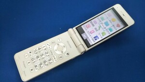 DG4566 docomo SIMフリー P-smart P-01J Panasonic 4Gガラホ 簡易確認＆簡易清掃＆初期化OK 判定○ 送料無料 Webにてロック解除手続済