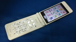 DG4591 docomo SIMフリー P-smart P-01J Panasonic 4Gガラホ 簡易確認＆簡易清掃＆初期化OK 判定○ 送料無料 Webにてロック解除手続済