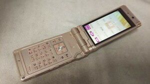 DG4630 docomo FOMA P905i Panasonic パナソニック ガラケー ケータイ 折り畳み式 簡易動作確認＆簡易清掃＆初期化OK 判定○ 送料無料　