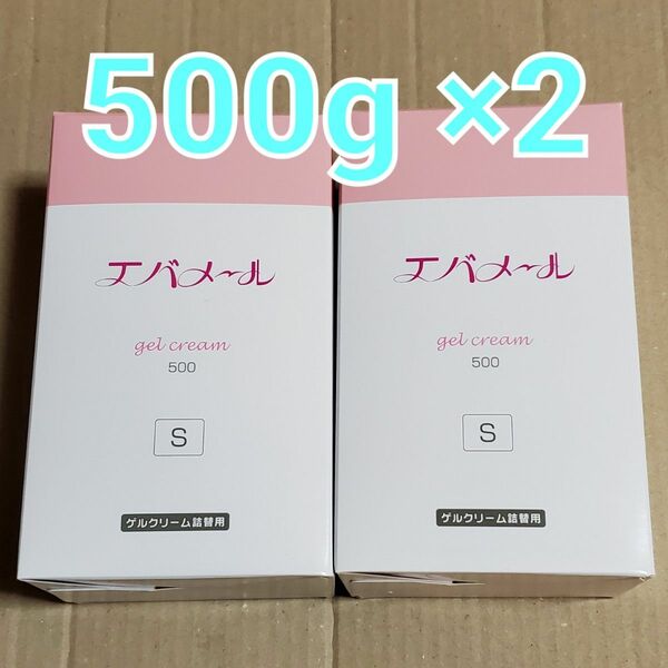 エバメール ゲルクリーム 詰替500g (S) ×2