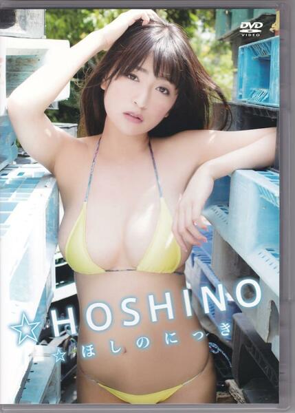 良品☆HOSHINO ☆ほしのにっき [DVD] 希少レア品