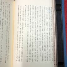 S6h-078 ビアス選集 4 幽霊Ⅱ 著者 A.ビアス 訳者 芹川和之 奥田俊介 倉本護 など 昭和47年10月20日 第二刷発行 東京美術 小説 物語 作品集_画像7