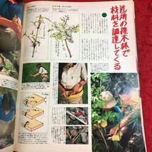 S6i-361 ビーパル BE-PAL 昭和59年8月号 宝さがし 昭和59年8月10日 発行 小学館 雑誌 アウトドア 自然 夏 海 山歩き 無人島 写真 体験談_画像7