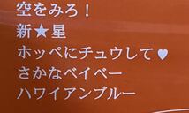 即決送料込　ザ★チョコレートプールズ / 未踏の上　井上ヤスオバーガー　新品未使用_画像3