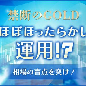 【オプション付】GOLD禁断のほぼほったらかし手法を伝授します 200件達成！ほったらかしの極みは次のステージへ！