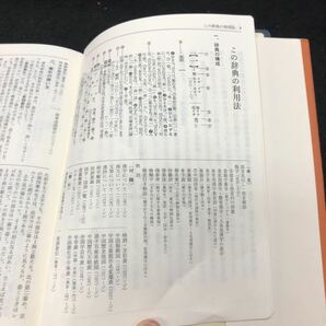 h-217 漢語林 著/鎌田正・米山寅太郎 JIS漢字コード付き 株式会社大修館書店 1990年発行 ※4の画像2