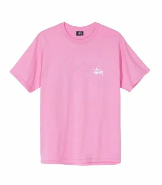 stussy Tシャツ 半袖