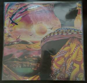 2LP Uyama Hiroto / Freedom Of The Sun　新品