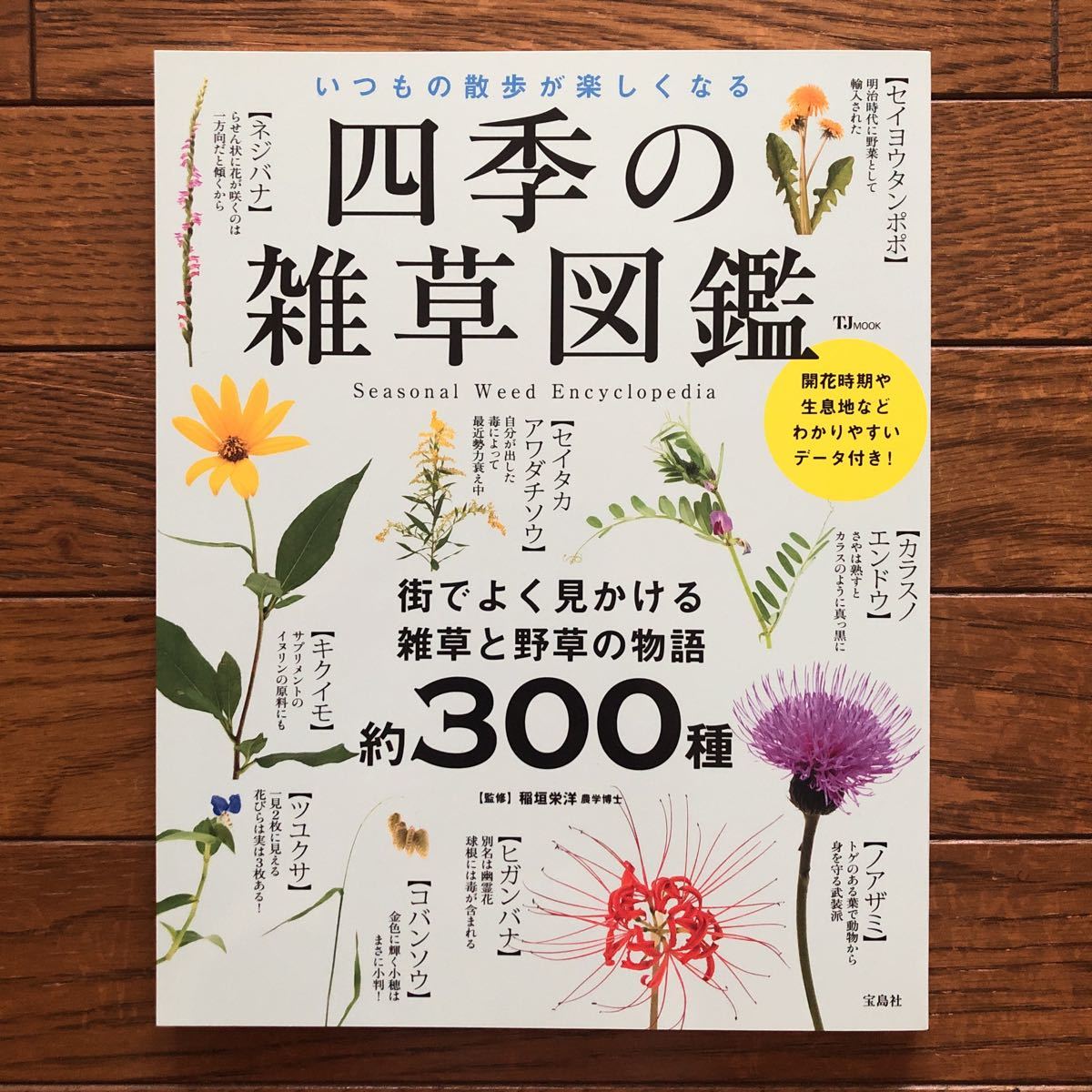 Yahoo!オークション -「雑草 図鑑」(本、雑誌) の落札相場・落札価格