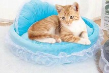 犬 ペット ベッド 犬ベッド 猫 猫ベッド おしゃれ かわいい ペット用品 クッション ペットマット 洗える 柔らかい ピンク ブルー パープル_画像6