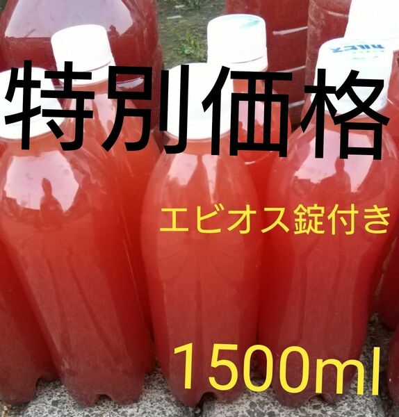 PSB(光合成細菌) 1500ml。エビオス錠　30錠付き 