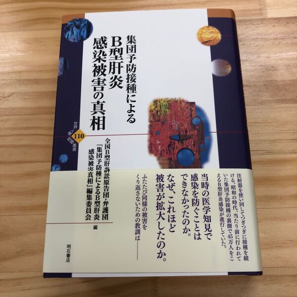 集団予防接種によるB型肝炎感染被害の真相 (世界人権問題叢書 110)