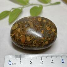 【E6528】フルーツジャスパー＊ジャスパー＊jasper＊ペブル_画像5