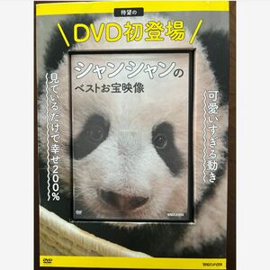 シャンシャン お宝映像　DVD