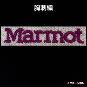 超美品 Marmot(マーモット)レディース ポロ シャツ L(T165.B92cm)半袖 ドライ 使用3回 ピンク アウトドア スポーツ 株)デサント MJK-S4593Wの画像9