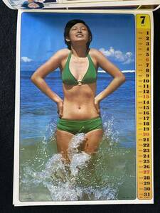 ◆(30717)ヤングスター1975デラックスカレンダー　山口百恵　浅田美代子　アグネスチャン　桜田淳子　南沙織　麻丘めぐみ　平凡付録