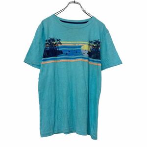 ARIZONA 半袖 プリント Tシャツ ユースサイズ XL 160～ ブルー ヤシの木 ビーチ アリゾナ 古着卸 アメリカ仕入 a507-5851