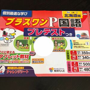 0901 プラスワンP国語 ３年 AH1304 教育同人社 非売品 小学 ドリル 問題集 テスト用紙 教材 テキスト 解答 家庭学習 漢字 過去問 ワーク