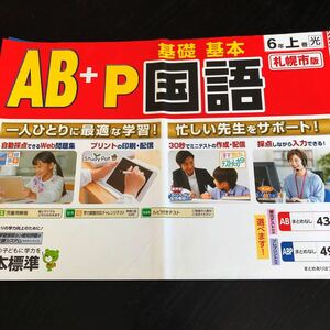 0955 AB＋P基礎基本国語 ６年 日本標準 非売品 小学 ドリル 問題集 テスト用紙 教材 テキスト 解答 家庭学習 計算 漢字 過去問 ワーク 文章