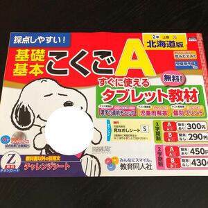 1036 基礎基本こくごA ２年 教育同人社 非売品 小学 ドリル 問題集 テスト用紙 教材 テキスト 解答 家庭学習 計算 漢字 過去問 ワーク 文章