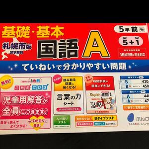 1052 基礎基本国語A ５年 文溪堂 非売品 小学 ドリル 問題集 テスト用紙 教材 テキスト 解答 家庭学習 計算 漢字 過去問 ワーク 文章