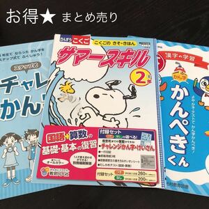 0173 サマースキル かんぺきくん 2年 小学 ドリル 国語 算数 光村教育図書 教育同人社 問題集 過去問 テキスト 解答 家庭学習 計算 漢字