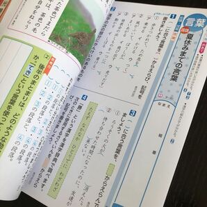 1007 基礎基本国語A＋P ４年 新学社 非売品 小学 ドリル 問題集 テスト用紙 教材 テキスト 解答 家庭学習 計算 漢字 過去問 ワーク 文章の画像7