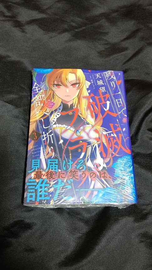 転生令嬢は婚約者の義兄に執愛されています 1 木成あけび 直筆イラスト