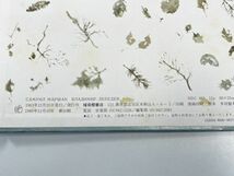 世界傑作絵本シリーズ・ソビエトの話　福音館書店　「しずかなおはなし」【z60291】_画像3