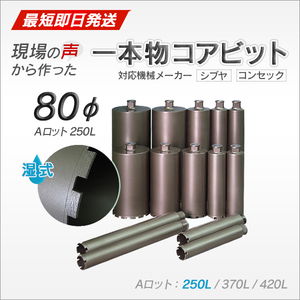 コアビット Aロット 80φ 250L