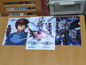 2 kind + leaflet set Mobile Suit Gundam SEED Gundam SEED DESTINY Special Edition A5 clear file mbichike front sale ticket buy privilege 