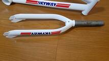 ★NOS SKYWAY T/A 25th Anniversary フレーム＆フォーク 未使用新品 ★検）OLD BMX SKYWAY PROFILE REDLINE OAKLEY_画像4