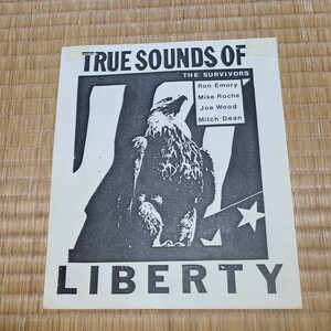 80s punk hardcore フライヤー T.S.O.L.バンド パンク ハードコア True Sounds of Liberty その2