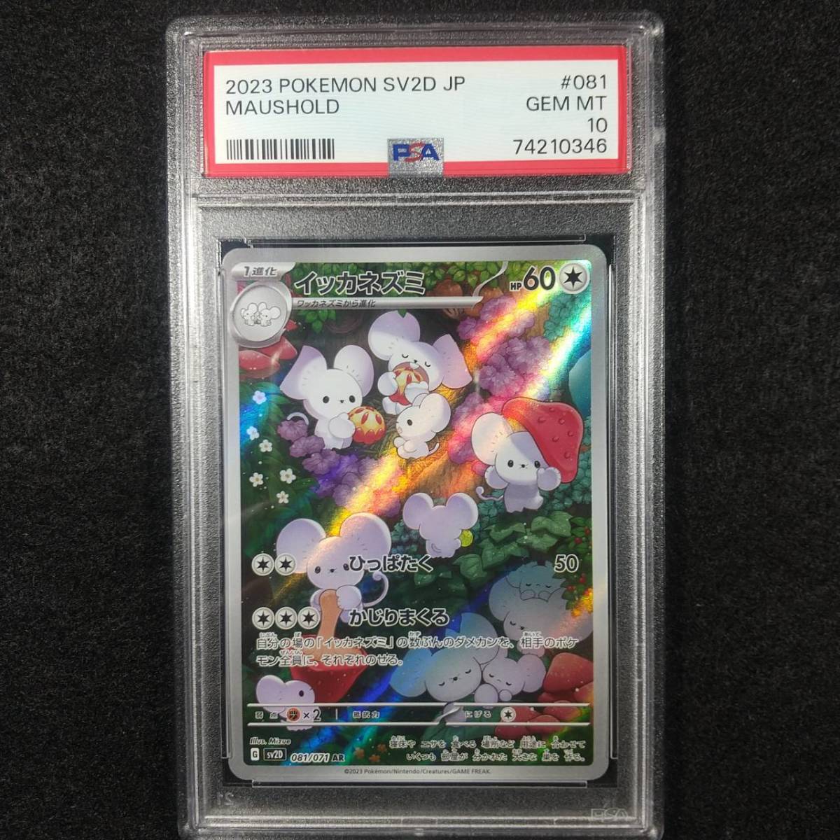 ヤフオク! -「ポケモンカードイッカネズミ」の落札相場・落札価格