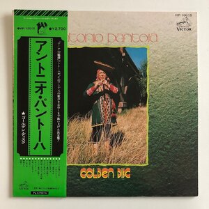 LP/ ANTONIO PANTOJA / GOLDEN DISC / アントニオ・パントーハ / 国内盤 帯・ライナー VICTOR VIP-10015 30705