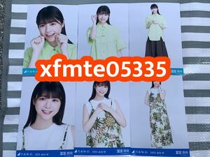 冨里奈央 乃木坂46 ハワイアン エメラルドグリーン×ブラウンコーデ 生写真 6種コンプ 　検(真夏の全国ツアー 2023年 浴衣