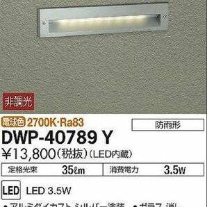 新品未開封品 DAIKO LED 足元灯 DWP 40789 防雨形
