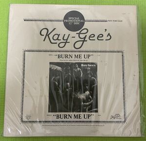 Soul disco record ソウル　ディスコ　レコード　Kay Gees Burn Me Up(Promo12) 1979