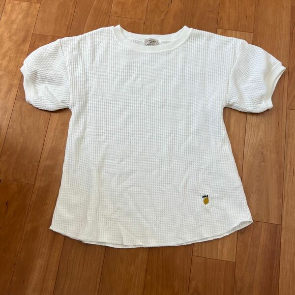 白 Tシャツ 半袖Tシャツ